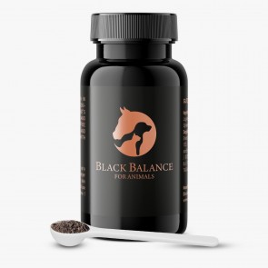 Black Balance prebiotisch poeder 30 gram